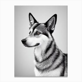 Norwegian Elkhound B&W Pencil dog Canvas Print