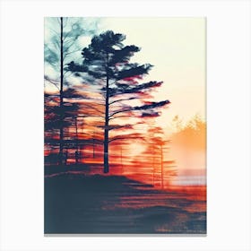 Sunset In The Pines Canvas Print