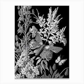 Butterfly Bush Wildflower Linocut 2 Canvas Print