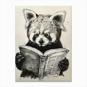 Red Panda Reading Ink Illustration 3 Canvas Print