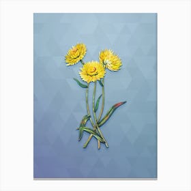 Vintage Helichrysum Flower Branch Botanical Art on Summer Song Blue n.1917 Canvas Print