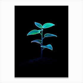 Plant Growing On The Ground Canvas Print