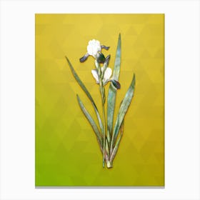 Vintage Tall Bearded Iris Botanical Art on Empire Yellow n.0365 Canvas Print