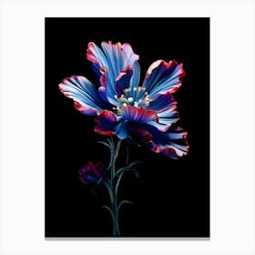 Blue Poppy Flower Canvas Print