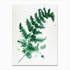 Green Ink Painting Of A Harts Tongue Fern 3 Canvas Print