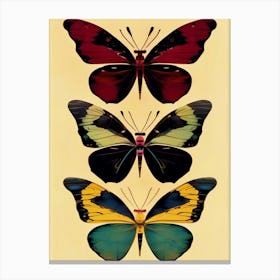 Butterflies In Flight, Lithograph, Beautiful Colors Canvas Print