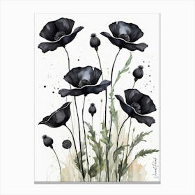 Black Poppies Canvas Print