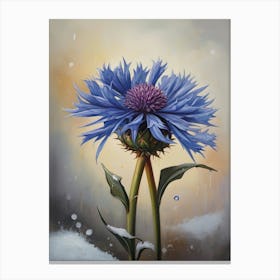 Vintage National Flower the Cornflower Canvas Print