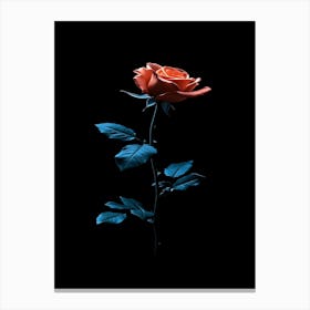 Rose On A Black Background 26 Canvas Print