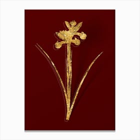 Vintage Spanish Iris Botanical in Gold on Red n.0345 Canvas Print