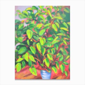 Schefflera 3 Impressionist Painting Plant Canvas Print