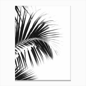 Black And White Palm Leaves 5 Canvas Print