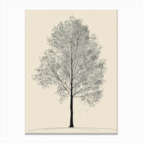 Sycamore Tree Minimalistic Drawing 2 Canvas Print