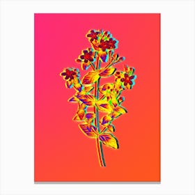 Neon Stinking Tutsan Botanical in Hot Pink and Electric Blue n.0132 Canvas Print