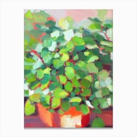 Jade Plant 2 Impressionist Painting Plant Canvas Print
