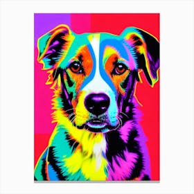 Collie Andy Warhol Style dog Canvas Print