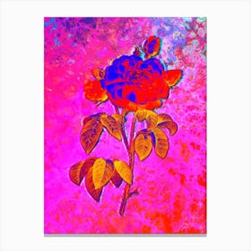 Duchess of Orleans Rose Botanical in Acid Neon Pink Green and Blue n.0284 Canvas Print