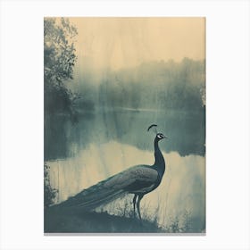 Vintage Peacock By The Lake Cyanotype Inspired 3 Canvas Print