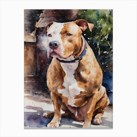 American Pit Bull Terrier Canvas Print