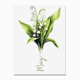 May Birth Flower Birth Month Botanical 1 Canvas Print