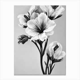 Snapdragons B&W Pencil 3 Flower Canvas Print