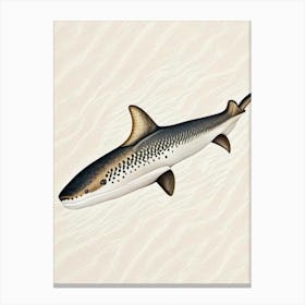 Carpet Shark 3 Vintage Canvas Print