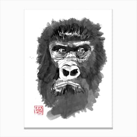 Grumpy Gorilla Canvas Print