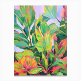 Calathea Impressionist Painting Plant Canvas Print