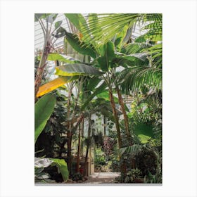 Tropical Botanical Green Canvas Print