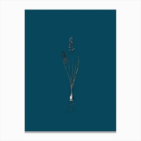 Vintage Autumn Squill Black and White Gold Leaf Floral Art on Teal Blue Canvas Print