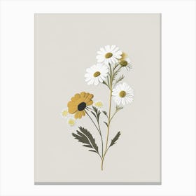 Feverfew Spices And Herbs Retro Minimal 6 Canvas Print
