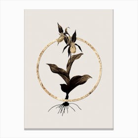 Gold Ring Lady's Slipper Orchid Glitter Botanical Illustration n.0343 Canvas Print