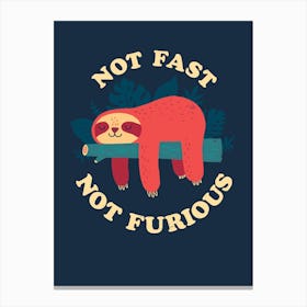 Not Fast Not Furious Canvas Print