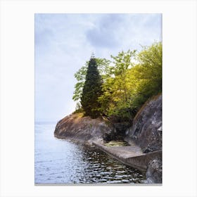 Rocky Shore With Trees Canvas Print