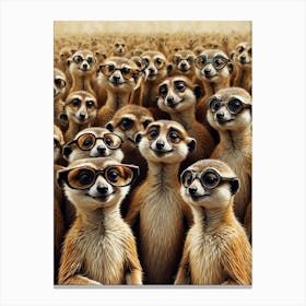 Meerkats In Glasses Canvas Print