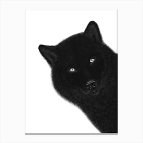 Black Wolf Canvas Print