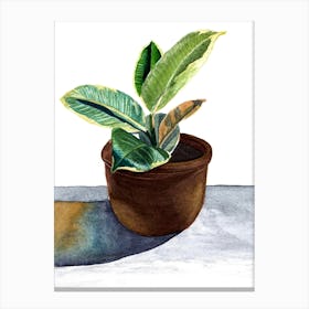 Tropical plant in pot Canvas Print