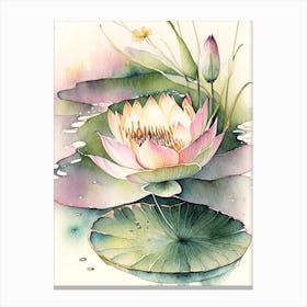 Blooming Lotus Flower In Pond Watercolour Ink Pencil 1 Canvas Print