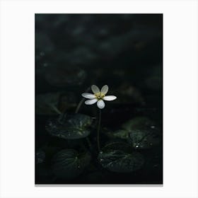 Lily Of The Valley 36 Canvas Print