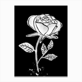 White Rose line drawing on black background 2 Canvas Print