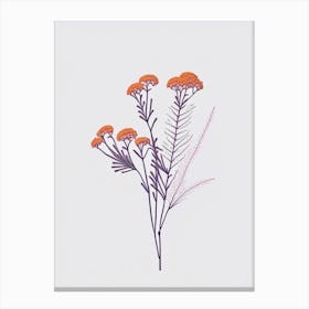 Yarrow Floral Minimal Line Drawing 5 Flower Canvas Print