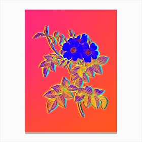Neon White Rosebush Botanical in Hot Pink and Electric Blue n.0425 Canvas Print
