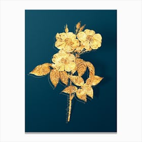 Vintage Rose of Castile Botanical in Gold on Teal Blue n.0240 Canvas Print