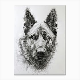Norweigan Elkhound Dog Line Sketch 3 Canvas Print