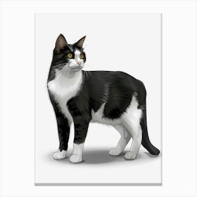 Black And White Cat 8 Canvas Print