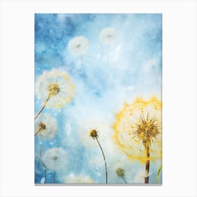 Dandelion 19 Canvas Print