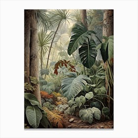 Vintage Jungle Botanical Illustration Monstera 2 Canvas Print