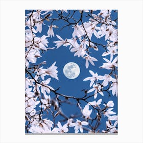 Moonlight Through Sakura Blossoms Canvas Print