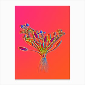 Neon Starfruit Botanical in Hot Pink and Electric Blue n.0595 Canvas Print