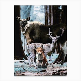 Moose And Fox Canvas Print